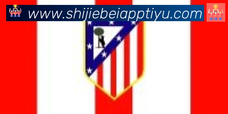 世界杯APP下载合作伙伴